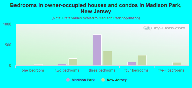 Bedrooms in owner-occupied houses and condos in Madison Park, New Jersey