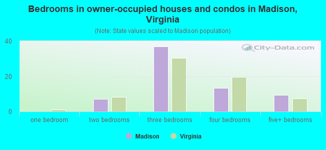 Bedrooms in owner-occupied houses and condos in Madison, Virginia