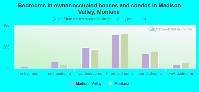 Bedrooms in owner-occupied houses and condos in Madison Valley, Montana