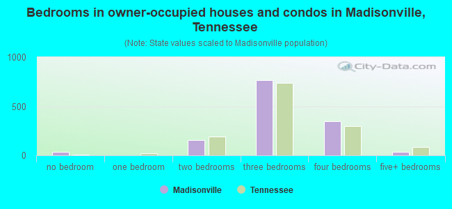 Bedrooms in owner-occupied houses and condos in Madisonville, Tennessee