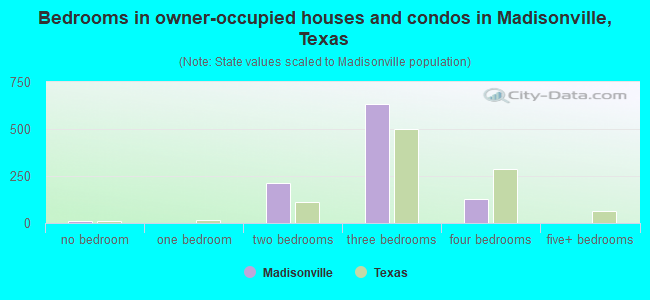 Bedrooms in owner-occupied houses and condos in Madisonville, Texas