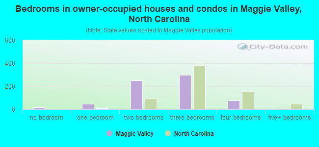 Bedrooms in owner-occupied houses and condos in Maggie Valley, North Carolina