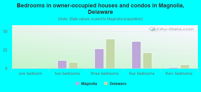 Bedrooms in owner-occupied houses and condos in Magnolia, Delaware