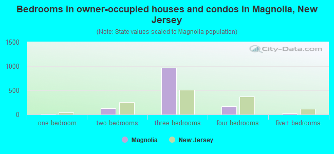 Bedrooms in owner-occupied houses and condos in Magnolia, New Jersey