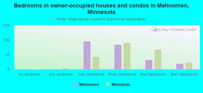 Bedrooms in owner-occupied houses and condos in Mahnomen, Minnesota