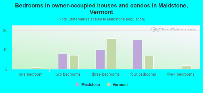 Bedrooms in owner-occupied houses and condos in Maidstone, Vermont