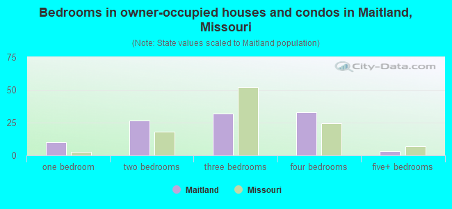 Bedrooms in owner-occupied houses and condos in Maitland, Missouri