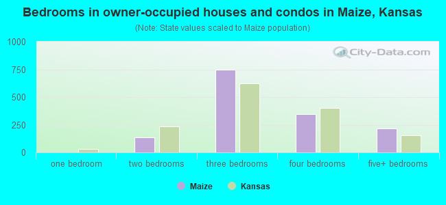 Bedrooms in owner-occupied houses and condos in Maize, Kansas