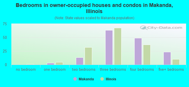 Bedrooms in owner-occupied houses and condos in Makanda, Illinois