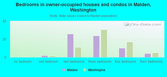 Bedrooms in owner-occupied houses and condos in Malden, Washington