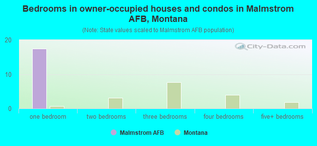 Bedrooms in owner-occupied houses and condos in Malmstrom AFB, Montana