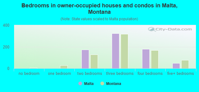 Bedrooms in owner-occupied houses and condos in Malta, Montana