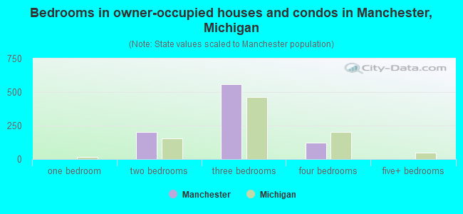 Bedrooms in owner-occupied houses and condos in Manchester, Michigan