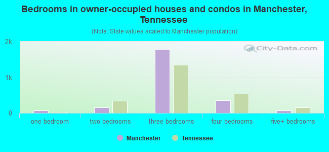 Bedrooms in owner-occupied houses and condos in Manchester, Tennessee