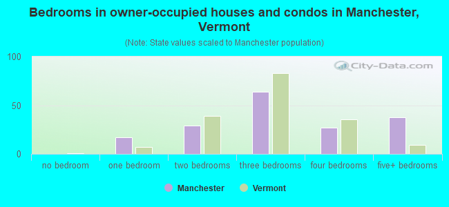 Bedrooms in owner-occupied houses and condos in Manchester, Vermont