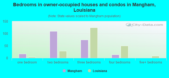 Bedrooms in owner-occupied houses and condos in Mangham, Louisiana