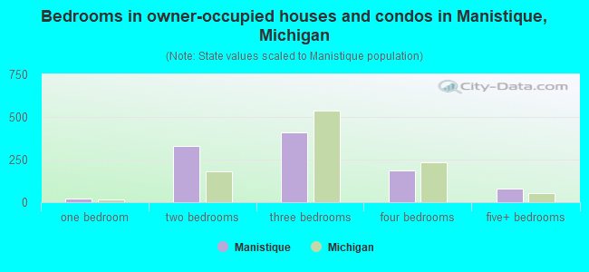 Bedrooms in owner-occupied houses and condos in Manistique, Michigan