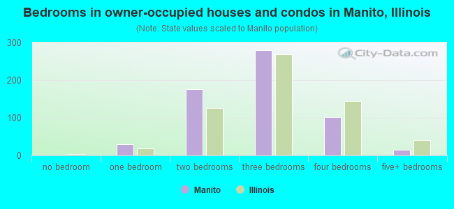 Bedrooms in owner-occupied houses and condos in Manito, Illinois