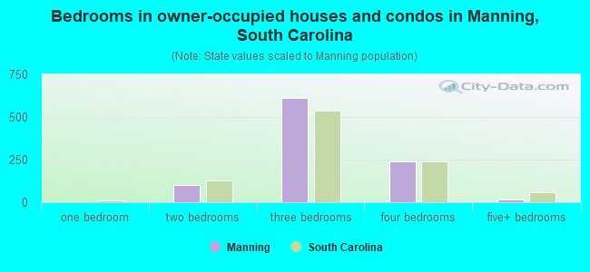 Bedrooms in owner-occupied houses and condos in Manning, South Carolina