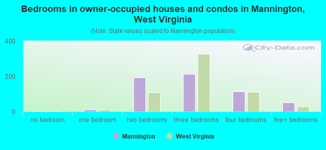Bedrooms in owner-occupied houses and condos in Mannington, West Virginia