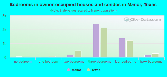 Bedrooms in owner-occupied houses and condos in Manor, Texas