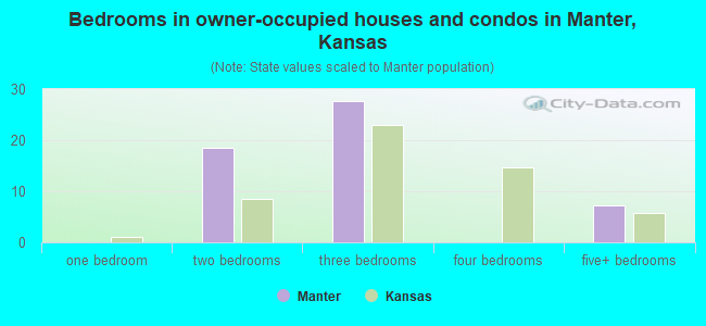 Bedrooms in owner-occupied houses and condos in Manter, Kansas