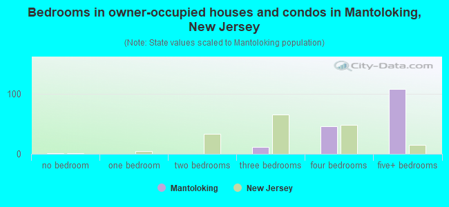 Bedrooms in owner-occupied houses and condos in Mantoloking, New Jersey