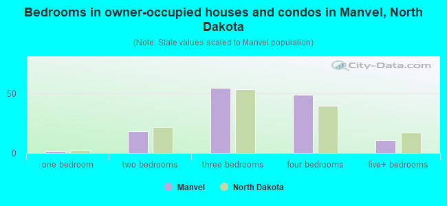 Bedrooms in owner-occupied houses and condos in Manvel, North Dakota