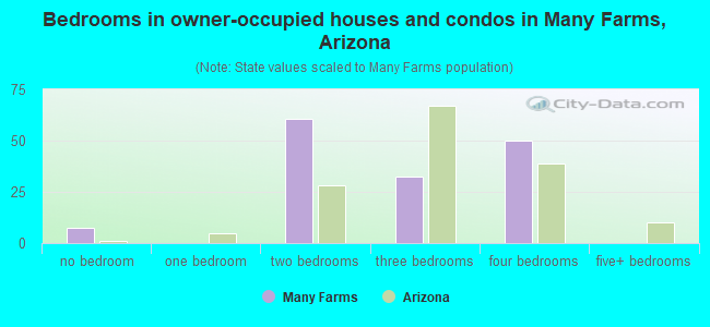 Bedrooms in owner-occupied houses and condos in Many Farms, Arizona