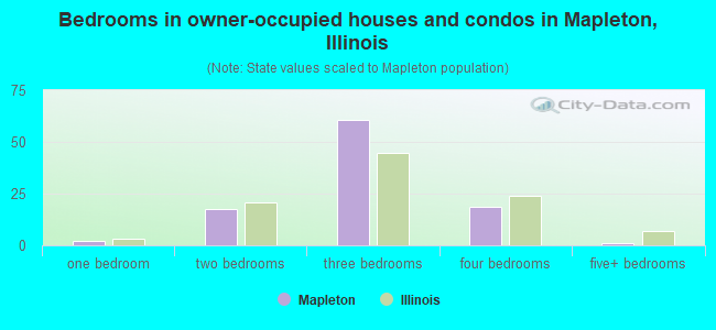 Bedrooms in owner-occupied houses and condos in Mapleton, Illinois