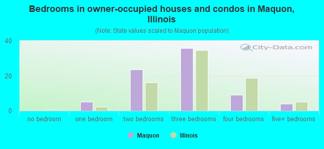 Bedrooms in owner-occupied houses and condos in Maquon, Illinois