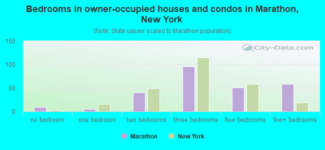 Bedrooms in owner-occupied houses and condos in Marathon, New York