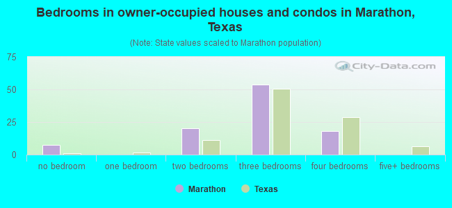 Bedrooms in owner-occupied houses and condos in Marathon, Texas