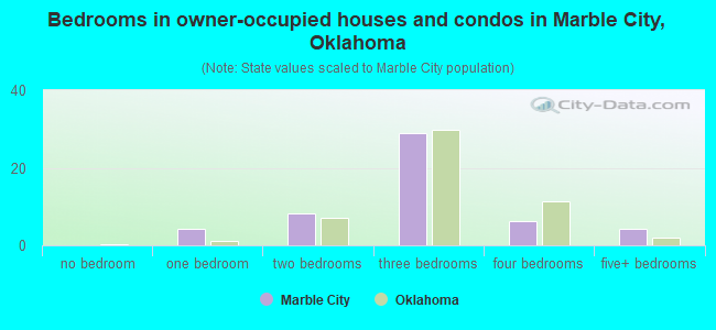 Bedrooms in owner-occupied houses and condos in Marble City, Oklahoma