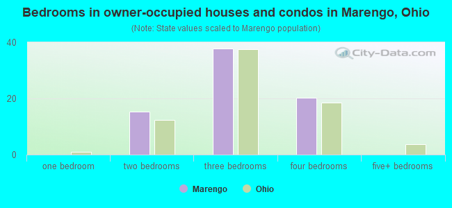 Bedrooms in owner-occupied houses and condos in Marengo, Ohio