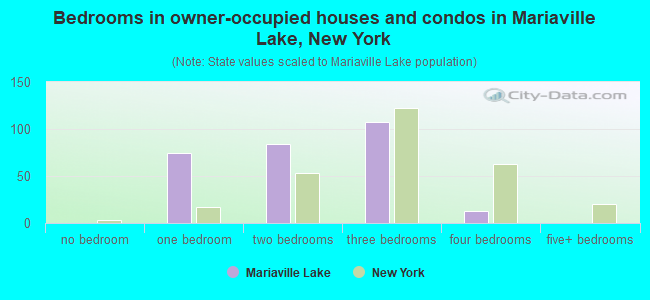 Bedrooms in owner-occupied houses and condos in Mariaville Lake, New York