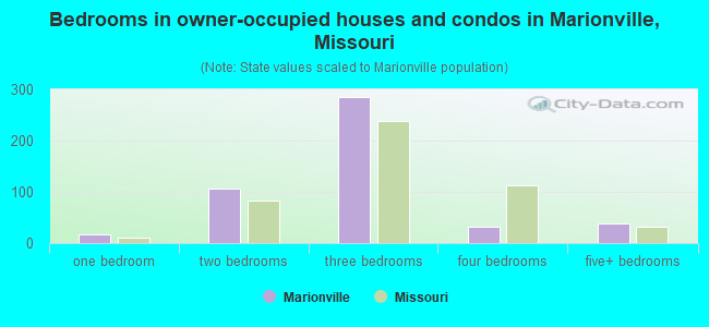 Bedrooms in owner-occupied houses and condos in Marionville, Missouri