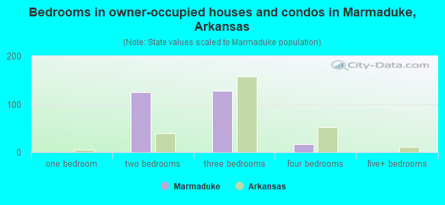 Bedrooms in owner-occupied houses and condos in Marmaduke, Arkansas