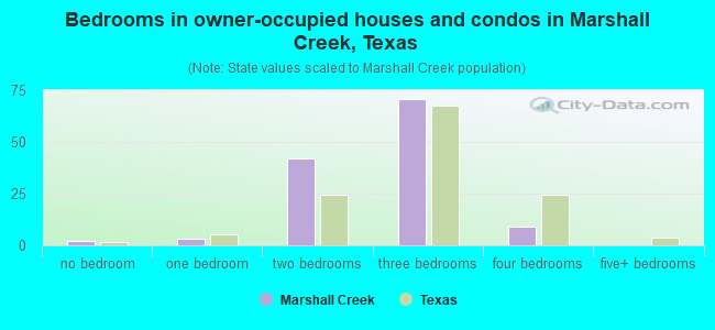 Bedrooms in owner-occupied houses and condos in Marshall Creek, Texas