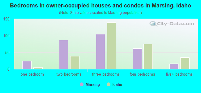 Bedrooms in owner-occupied houses and condos in Marsing, Idaho