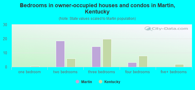 Bedrooms in owner-occupied houses and condos in Martin, Kentucky