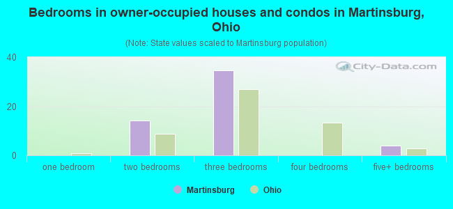 Bedrooms in owner-occupied houses and condos in Martinsburg, Ohio