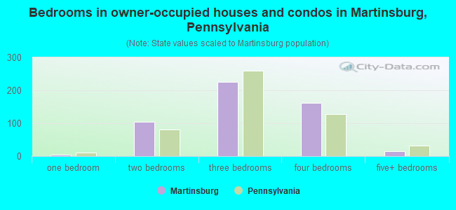 Bedrooms in owner-occupied houses and condos in Martinsburg, Pennsylvania