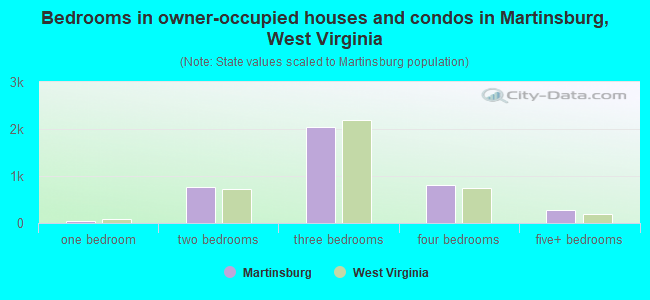 Bedrooms in owner-occupied houses and condos in Martinsburg, West Virginia