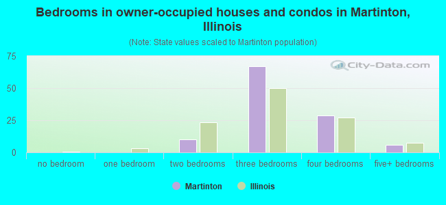Bedrooms in owner-occupied houses and condos in Martinton, Illinois