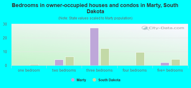 Bedrooms in owner-occupied houses and condos in Marty, South Dakota