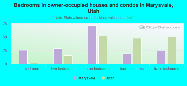Bedrooms in owner-occupied houses and condos in Marysvale, Utah