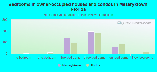 Bedrooms in owner-occupied houses and condos in Masaryktown, Florida