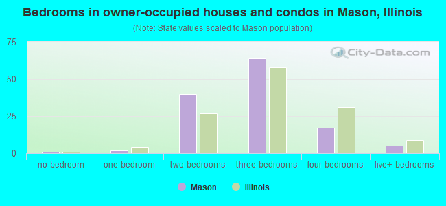 Bedrooms in owner-occupied houses and condos in Mason, Illinois