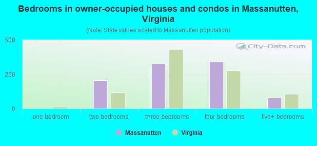 Bedrooms in owner-occupied houses and condos in Massanutten, Virginia